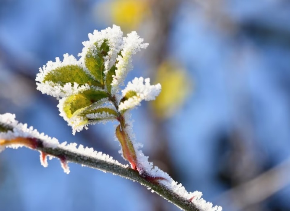 Волгоградцам пообещали в октябре снег и заморозки до -6 градусов